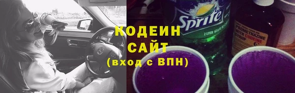 твердый Сатка