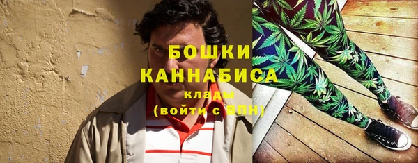 гидра Саяногорск
