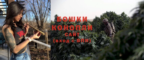 твердый Сатка