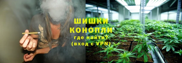 молекула духа Бугульма