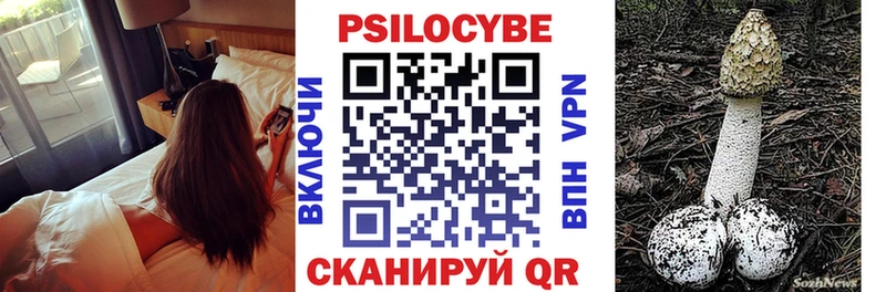 Галлюциногенные грибы мицелий  Мещовск 